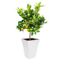 loft urban vierkant hoog 37cm wit